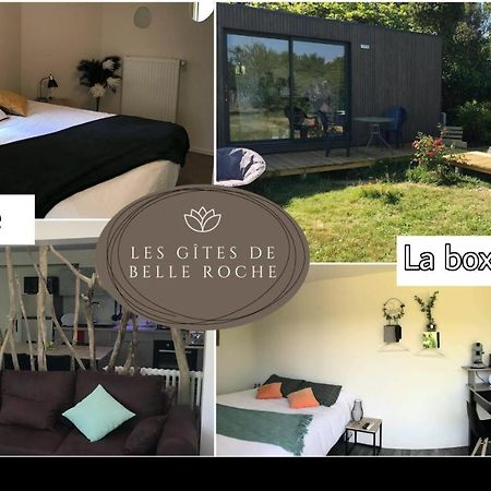 Les Gites De Belle Roche Macon Bagian luar foto